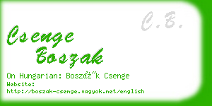 csenge boszak business card